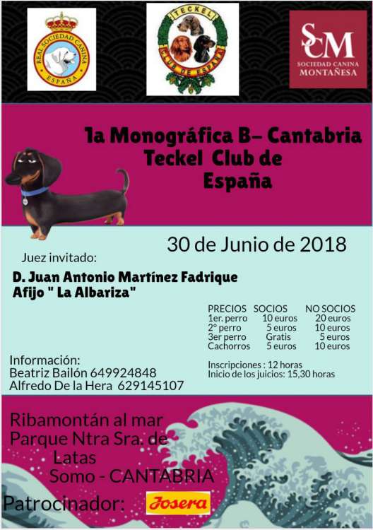 TECKEL CLUB DE ESPAÑA - Belleza. Primera Monográfica B del Teckel de Cantabria (Cantabria   España)
