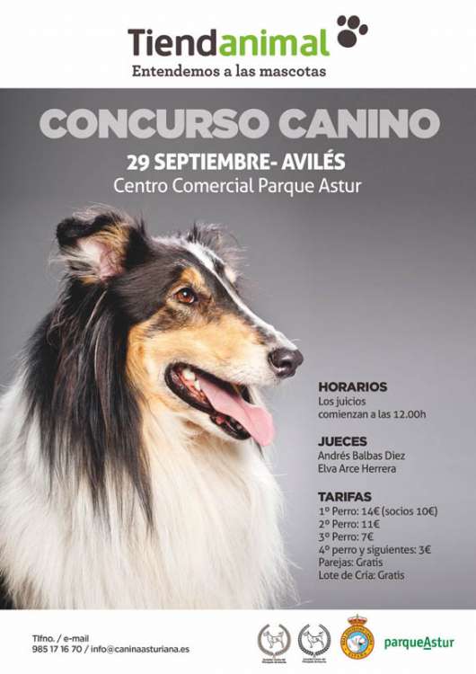 Sociedad Canina de Asturias - Belleza. Concurso Nacional Tiendanimal Parqueastur 2018 (Asturias   España)