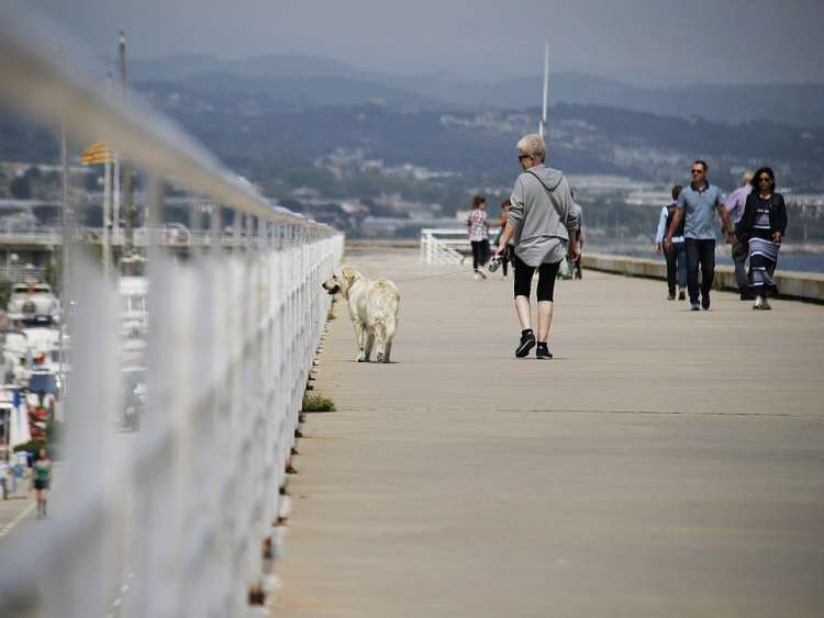 Perro paseando con su dueña Perro paseando con su dueña