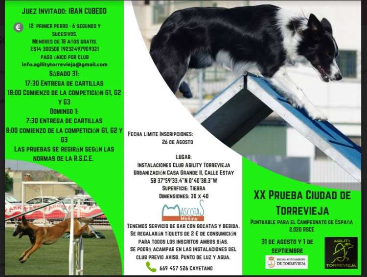 Agility. XX Prueba de Agility ciudad de Torrevieja (Alacant   España)