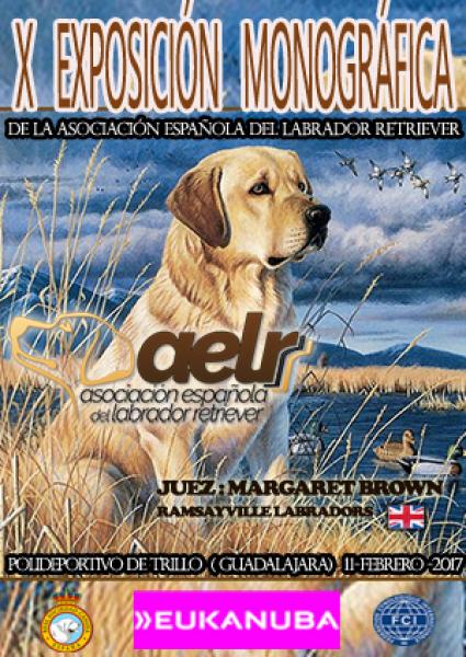 Belleza. X EXPOSICIÓN MONOGRÁFICA DEL LABRADOR RETRIEVER (Guadalajara   España)