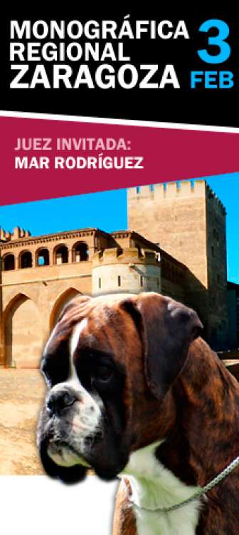 III Monográfica Regional del Boxer Ciudad de Zaragoza III Monográfica Regional del Boxer Ciudad de Zaragoza