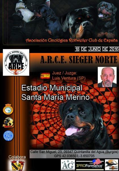 Asociación Cinológica Rottweiler Club de España - ARCE - Belleza. MONOGRÁFICA DEL ROTTWEILER   ARCE Sieger Norte (Burgos   España)