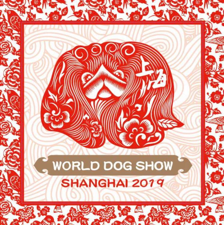World Dog Shows Shanghai 2019 - Belleza. World Dog Shows 2019   SHANGHAI (Shanghai   China)