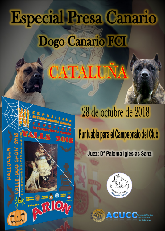 CLUB ESPAÑOL DEL DOGO CANARIO - Dogo Canario. Belleza. ESPECIAL PRESA CANARIO CATASLUÑA (Tarragona   España)