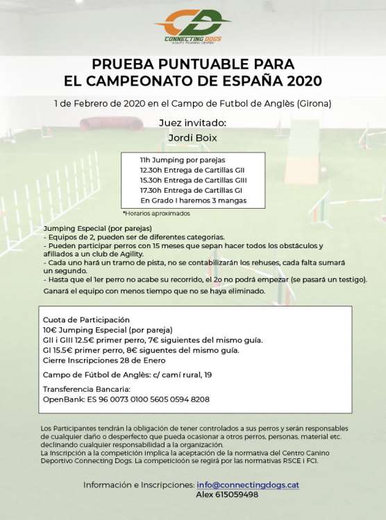 Agility. Prueba de Agility (Girona   España)