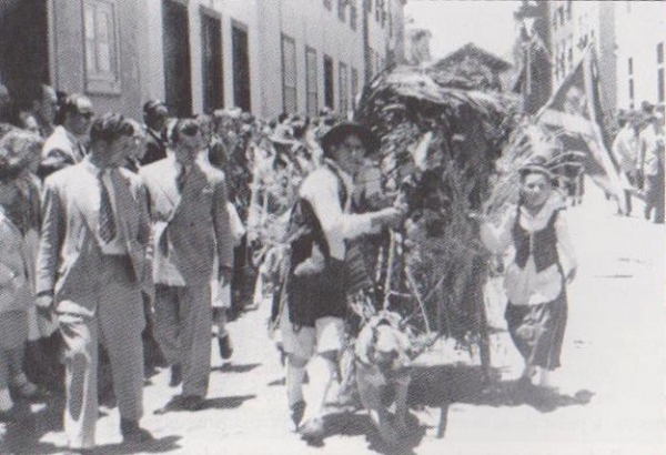 LA ISLA DE LOS VOLCANES - Dogo Canario. Llano del Moro, La Laguna, hacia 1956. Cabeza de un típico ejemplar.