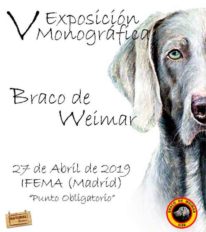 PETSmania - V Exposición Monográfica del Braco de Weimar