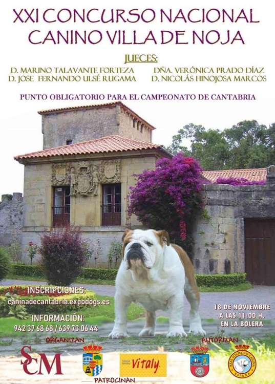 Belleza. XXI CONCURSO NACIONAL CANINO VILLA DE NOJA (Cantabria   España)