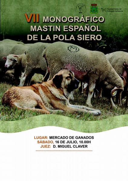 Sociedad Canina de Asturias - Mastín Español. Belleza. VII MONOGRÁFICA DEL MASTÍN ESPAÑOL (Asturias   España)