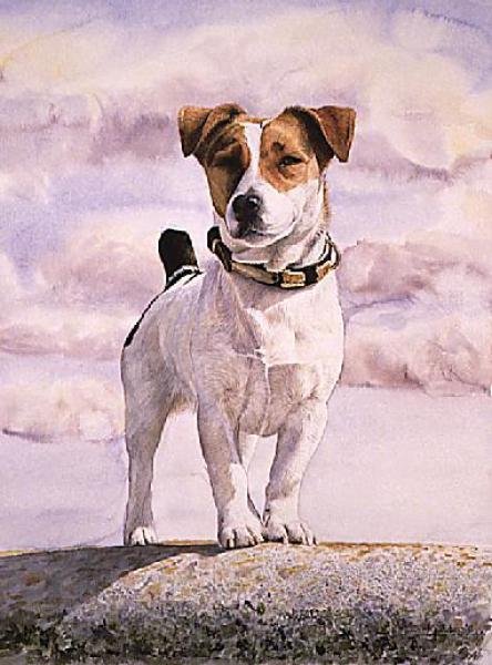 DE LAS DOCE ISLAS - Parson Russell Terrier. Cuadro de Cirile Jauvert
