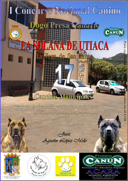 CLUB ESPAÑOL DEL DOGO CANARIO - Dogo Canario. Belleza. I CONCURSO NACIONAL MONOGRÁFICO DOGO PRESA CANARIO (Las Palmas   España)