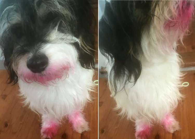 Cortesía de Twitter.