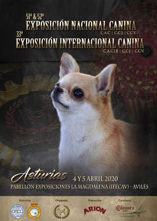Sociedad Canina de Asturias - Belleza. 52 Exposición Nacional y 33 Exposición Internacional del Principado de Asturias (Asturias   España)