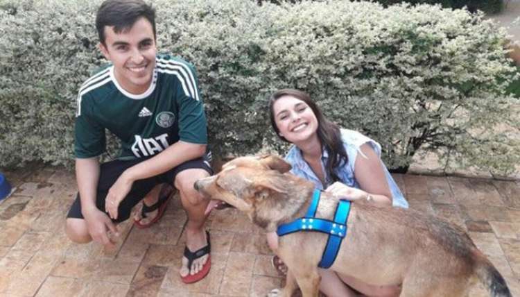 PETSmania - Pareja de recién casados adopta perro que interrumpió su boda