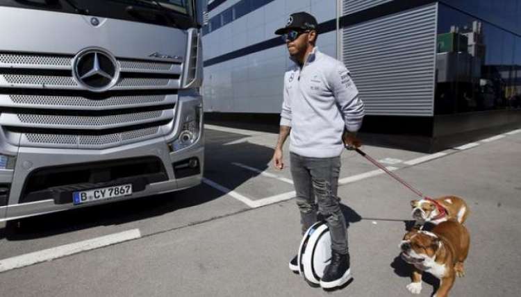 Roscoe y Coco los perros de Lewis Hamilton Roscoe y Coco los perros de Lewis Hamilton