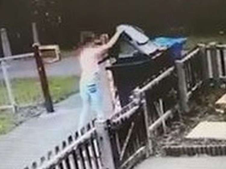 Niña captada por camara de seguridad al arrojar un gato negro al contenedor de basura (Imagen  Hull Daily Mail)