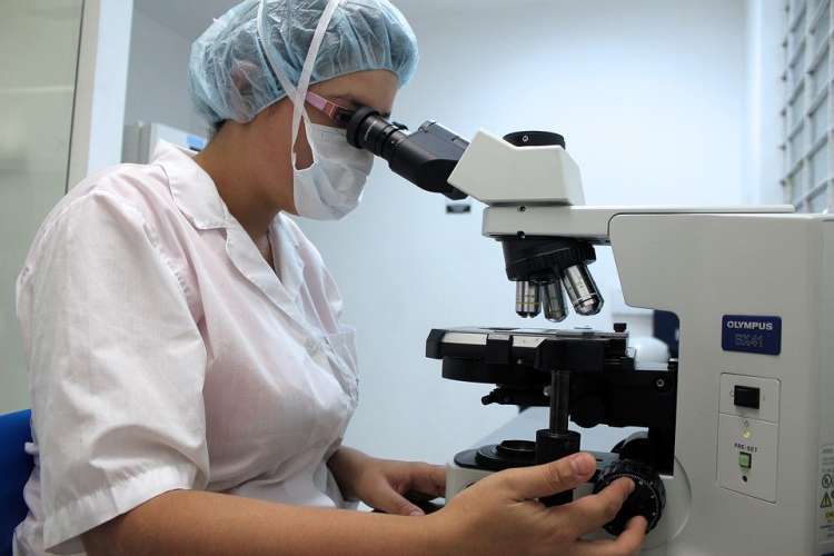 Veterinario analizando con microscopio