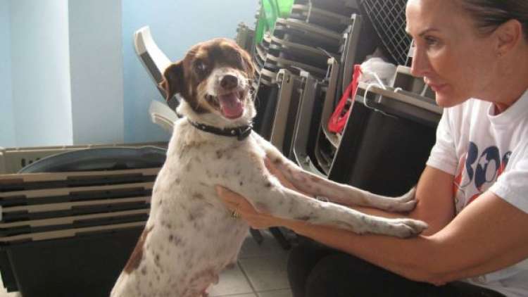 Christina Beckles (Facebook) Christina Beckles (Facebook)