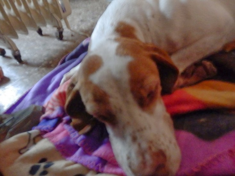 WENDOLYN.  WENDOLYN.