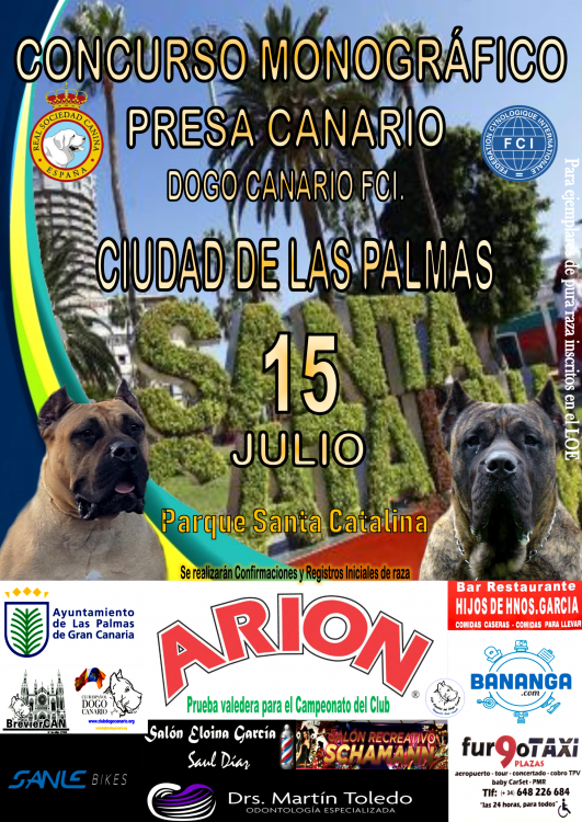 CONCURSO MONOGRÁFICO DEL PRESA CANARIO   DOGO CANARIO