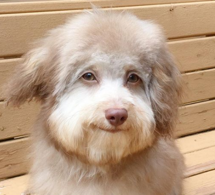 Imagen Instagram de norichiban Imagen Instagram de norichiban