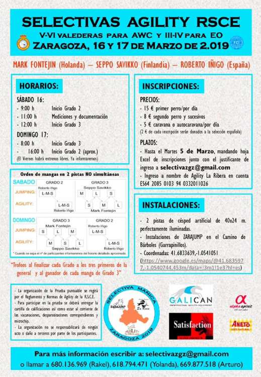 Agility. Prueba de Agility   SELECTIVA (Zaragoza   España)