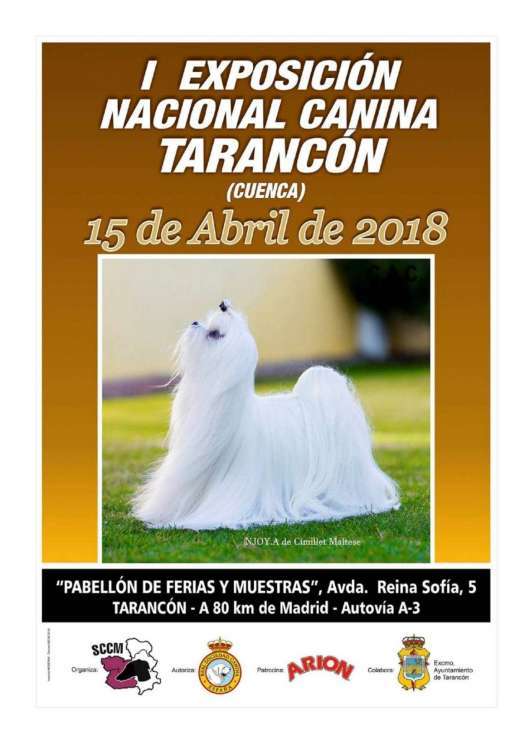 I EXPOSICIÓN NACIONAL CANINA DE TARANCON ( CUENCA)