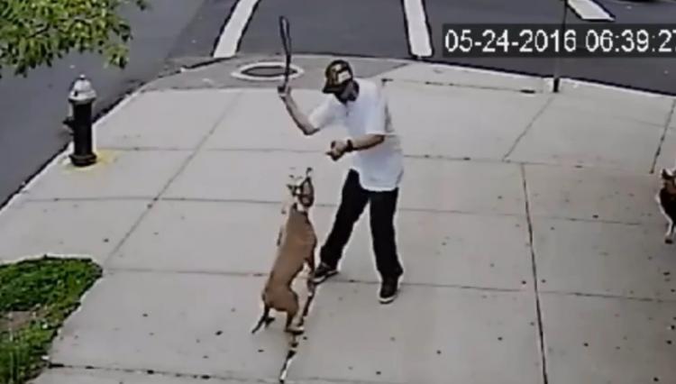 Un hombre recibe una puñalada cuando intentaba mediar en un caso de maltrato animal.