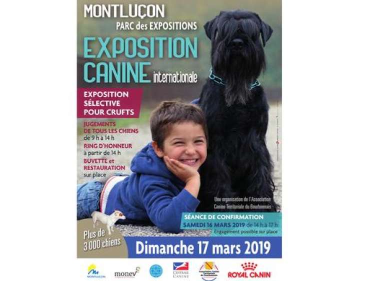 Société Canine du Bourbonnais - Belleza. EXPOSITION CANINE INTERNATIONALE (CACS   CACIB) (Allier   Francia)