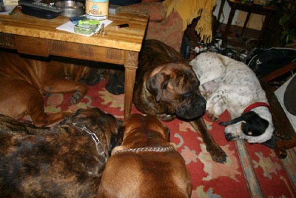 Dos no son multitud. 