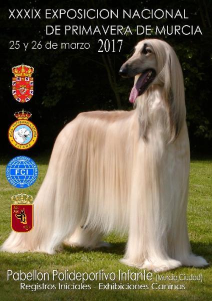 Cartel de la XXXIX Exposición Nacional de Primavera de Murcia Cartel de la XXXIX Exposición Nacional de Primavera de Murcia