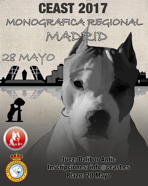 CLUB ESPAÑOL DEL AMERICAN STAFFORDSHIRE TERRIER - Belleza. MONOGRÁFICA REGIONAL DEL AMERICAN STAFFORDSHIRE TERRIER (Madrid   España)