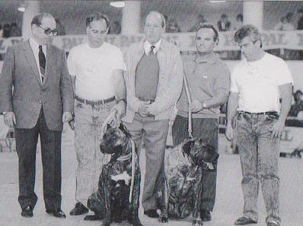 Dogo Canario. Presentación oficial del Presa Canario. Marquesa (izquierda) y Faycan (derecha) en la Expo-Otoño 87, con la delegación Canaria y el presidente entonces de la R.S.C.E.