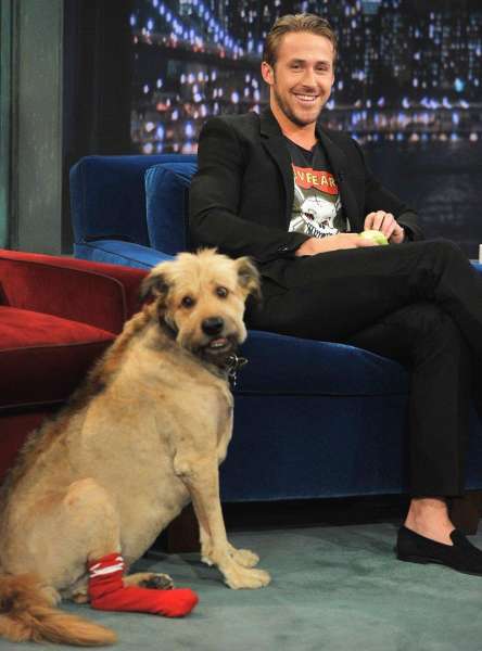 Ryan Gosling con su perro George (FOTO Getty Images)