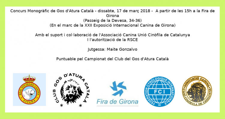 CLUB DEL GOS D´ALTURA CATALA - Gos d`Atura Catalá. Belleza. CONCURSO MONOGRÁFICO DE LA RAZA GOS D