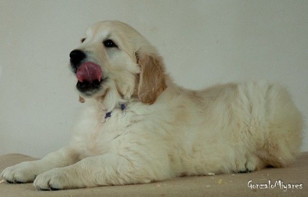 Prevención de las afecciones neonatales. 