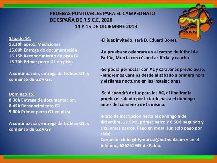 Agility. Prueba de Agility (Murcia   España)