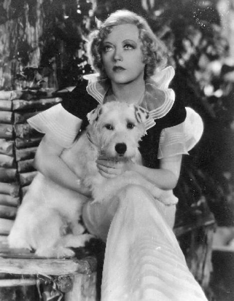 Conociendo la Raza - Sealyham Terrier