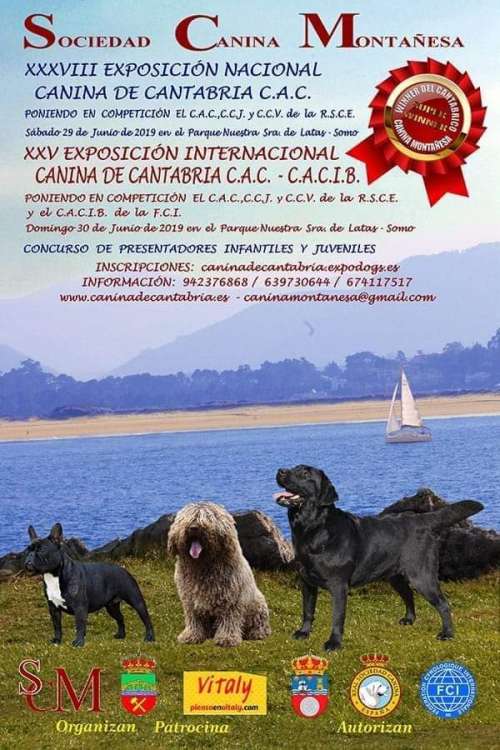 Sociedad Canina Montañesa - Belleza. Exposición Nacional e Internacional de Somo CAC   CACIB (Cantabria   España)