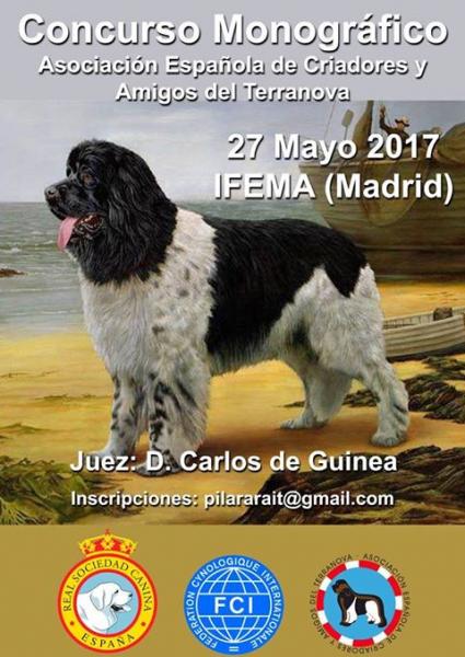 ASOCIACIÓN ESPAÑOLA DE CRIADORES Y AMIGOS DEL TERRANOVA - AECAT - Belleza. CONCURSO MONOGRÁFICO DE TERRANOVA (Madrid   España)