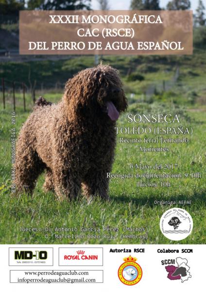 ASOCIACIÓN ESPAÑOLA DEL PERRO DE AGUA ESPAÑOL - Belleza. XXXII Monográfica CAC (RSCE) del Perro de Agua Español (Toledo   España)