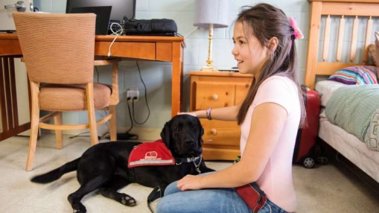 PETSmania - Abigail Neill juega con su nuevo perro de alerta diabética