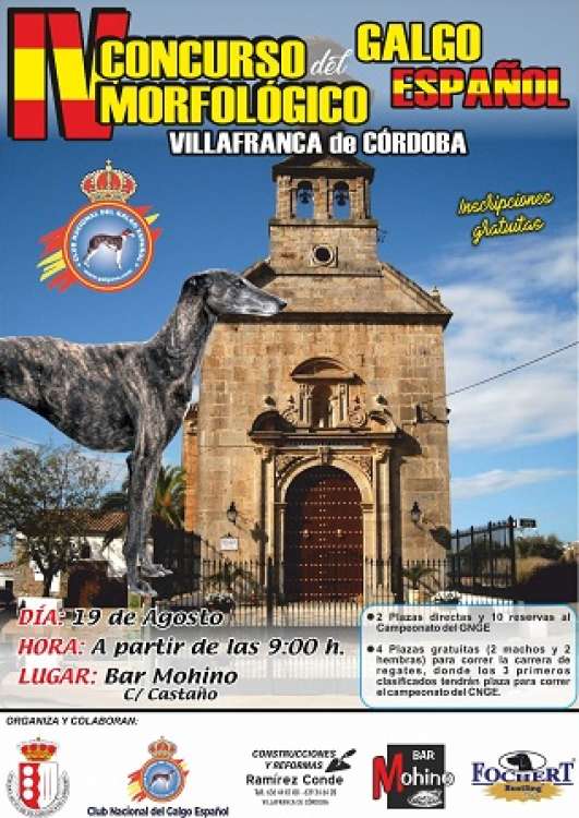 CLUB NACIONAL DEL GALGO ESPAÑOL - Belleza. IV CONCURSO MORFOLÓGICO DEL GALGO ESPAÑOL (Córdoba   España)