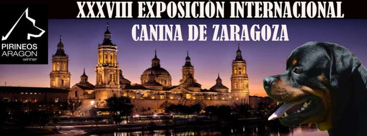 1 er. CONCURSO MONOGRÁFICO DEL LEONBERGER