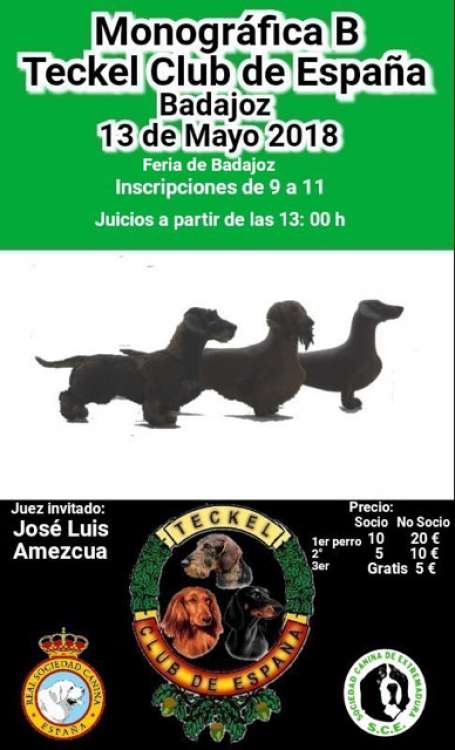 TECKEL CLUB DE ESPAÑA - Belleza. MONOGRÁFICA B DEL TECKEL CLUB DE ESPAÑA (Badajoz   España)