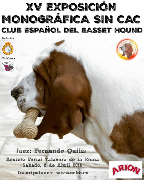 CLUB ESPAÑOL DEL BASSET HOUND - Basset Hound. . XV Exposición Monográfica sin CAC  (Toledo   España)