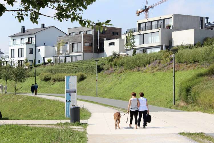Perro paseando con su dueña