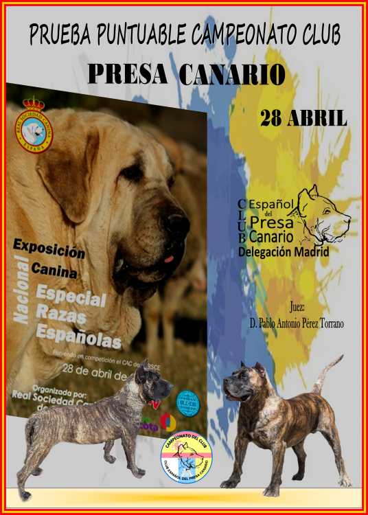 Belleza. EXPOSICIÓN MONOGRÁFICA DEL DOGO CANARIO (Madrid   España)