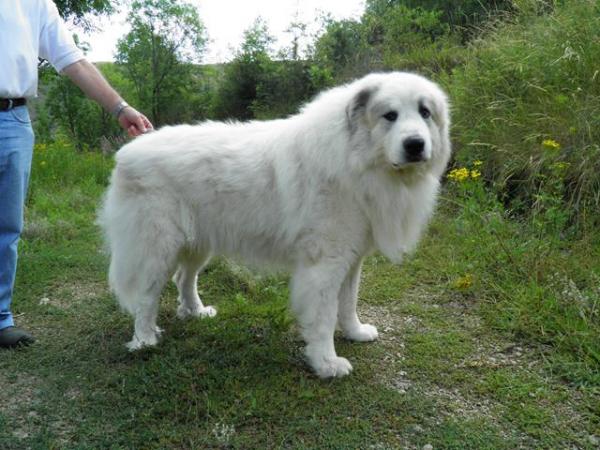 LA BORDA D´URTX - Montaña de los Pirineos. OBAGO DE LA BORDA D